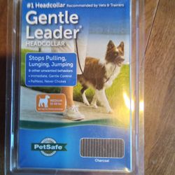 Dog Collar