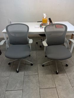 Pair of Gray Mesh Desk Chairs