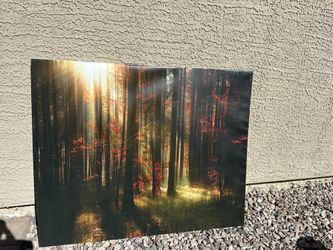 Picture Frames Art