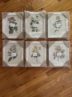 Floral Framed Prints Set of 6  New In Box