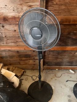 Abanico fan
