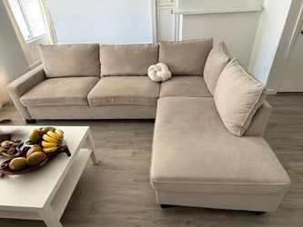 L sectional couch