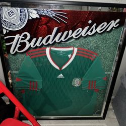 2010 Mexico World Cup Budweiser Frame 