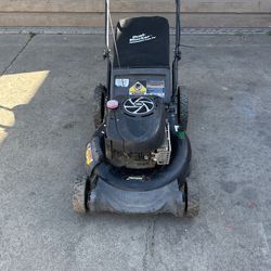 Briggs Stratton