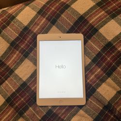 iPad Mini 