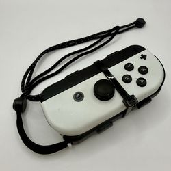 Nintendo switch controllers