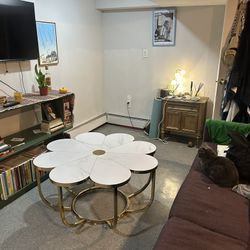 Flower Shaped Coffee Table