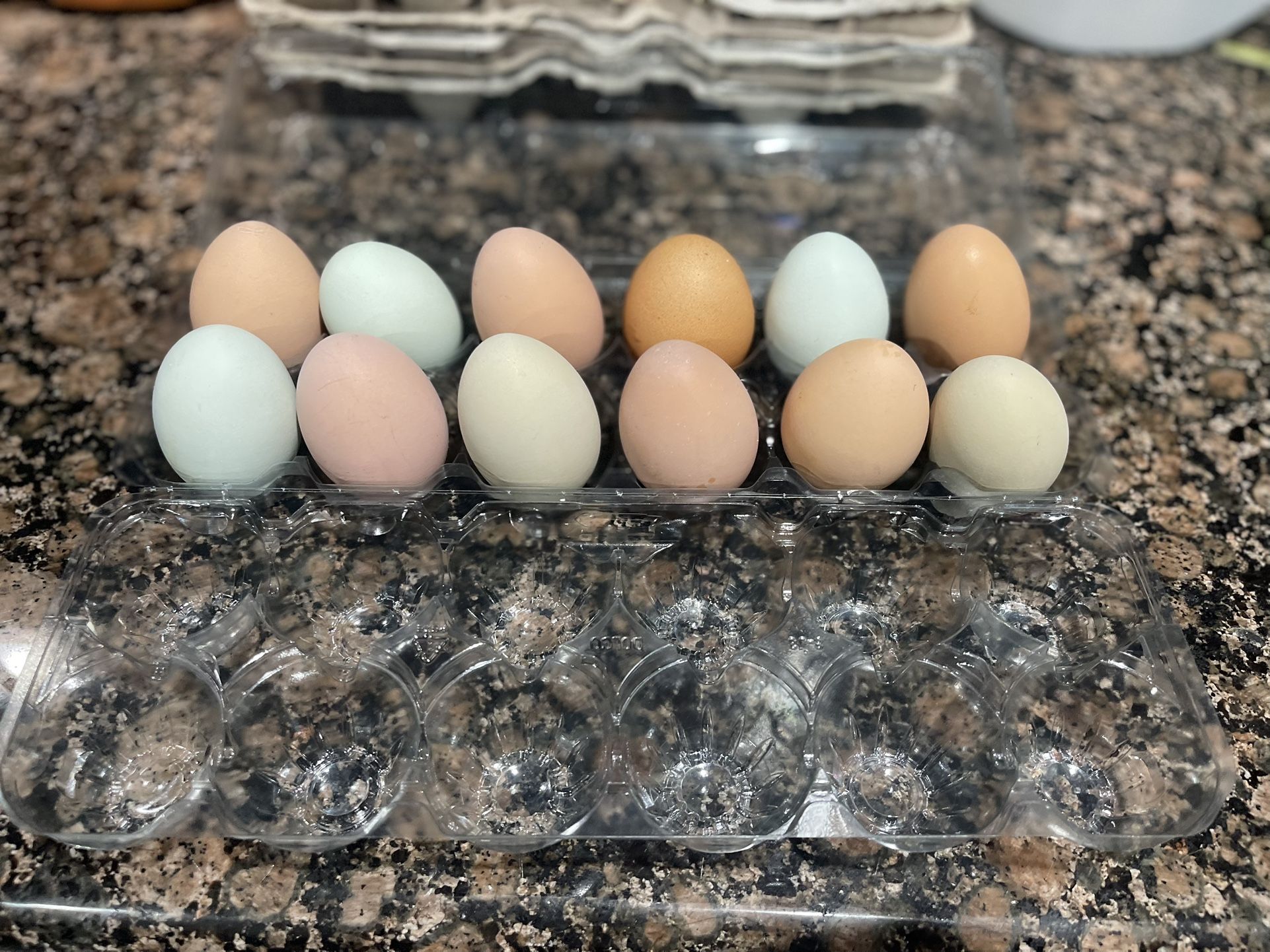 Fresh Chicken Eggs