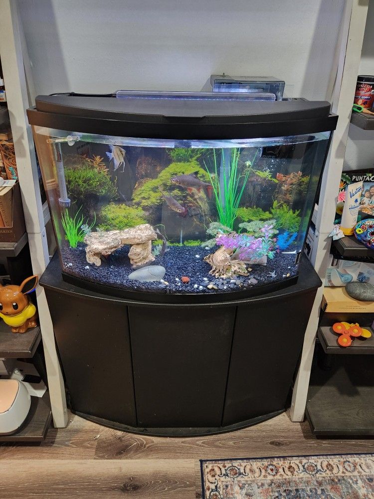 30 Gallon Bow Front Fish Tank With Stand