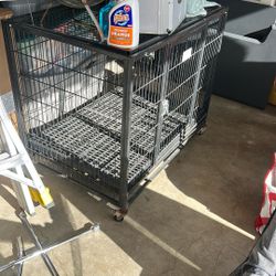 Kennel