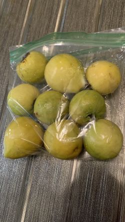 GUAYABA FRESCA Y CONGELADA