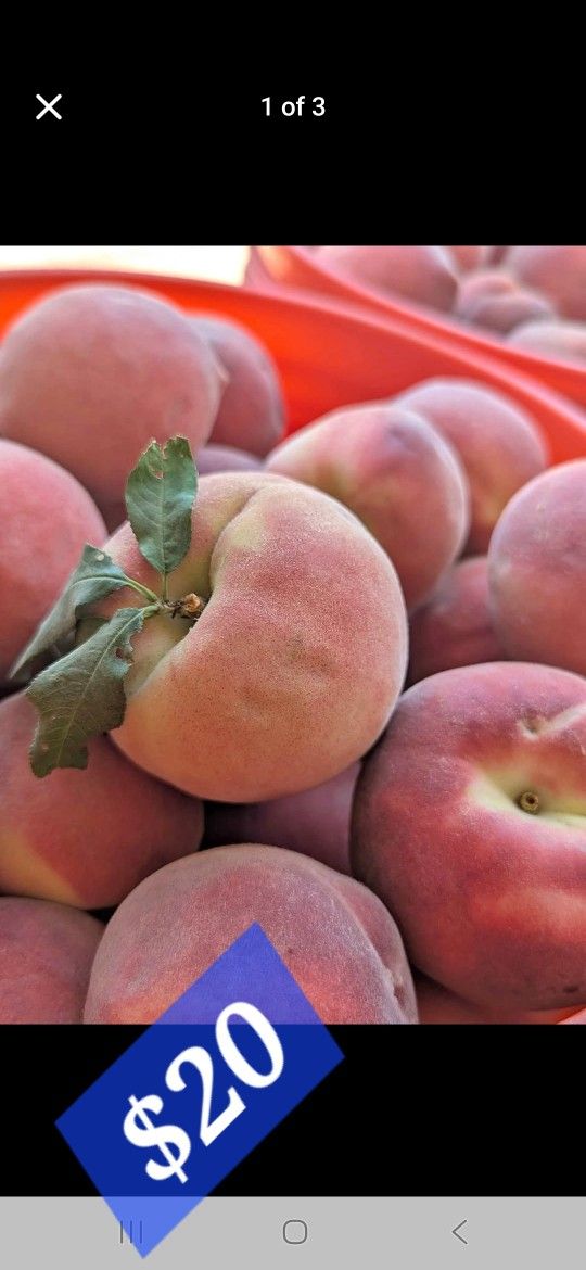 White Peaches $15 The Bucket Only Today