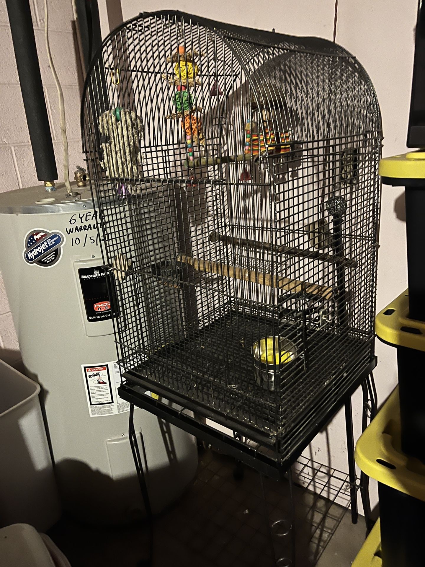 Bird Cage
