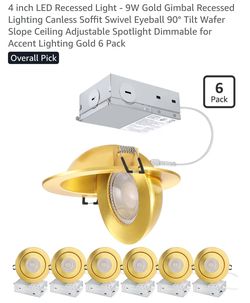 Retro style eyeball lights - 4 inch LED Recessed lights