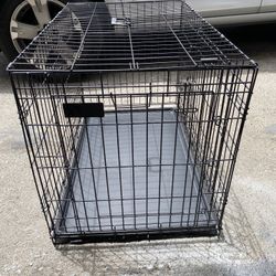Large Crate Dog