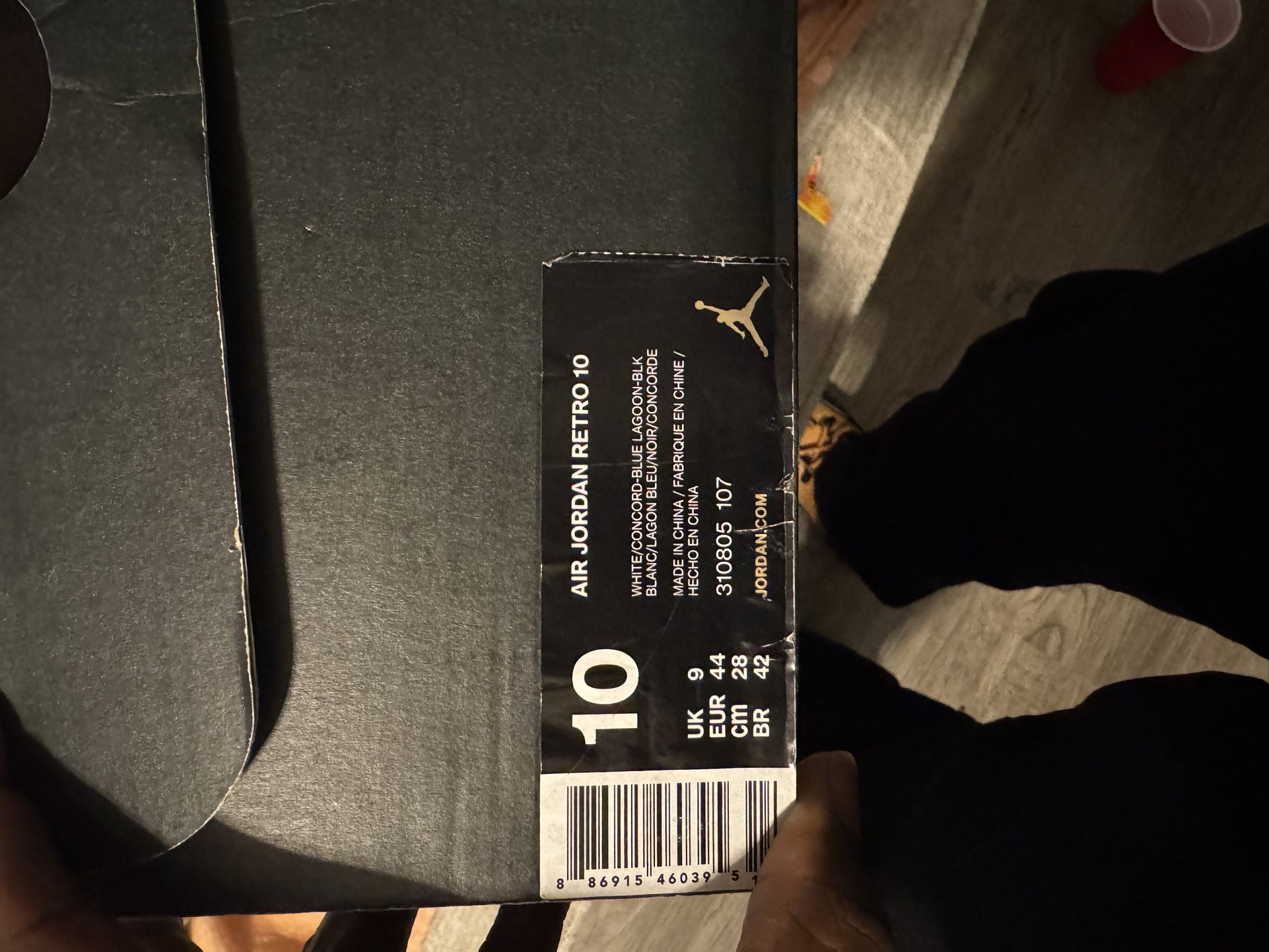 Air Jordan 10 Charlotte Hornets (size 10)