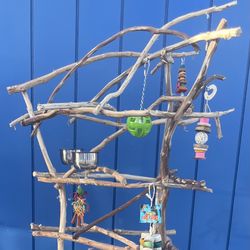 Small Bird Perch Tree- Funky Artsy and Very Good For Birdee !! 