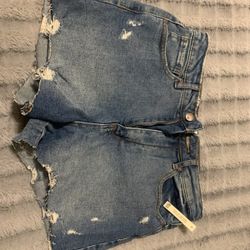 Brand New Women's Shorts 