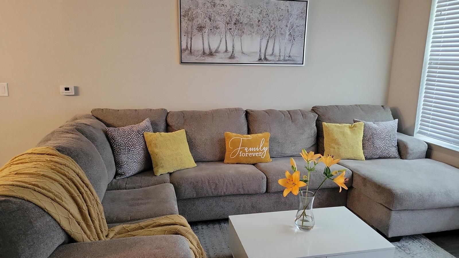Sofa Grey And Coffe Table