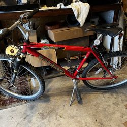 Raleigh Mountain Bike M30
