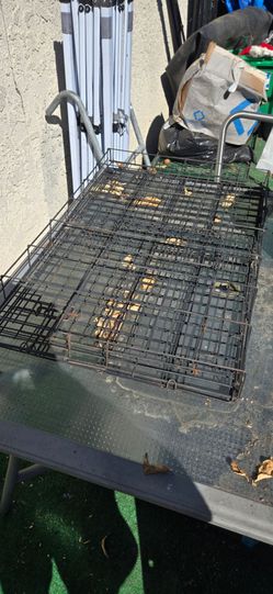 Animal kennel