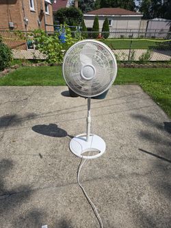 Fan