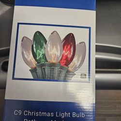CHRISTMAS PATHWAY LIGHTS 