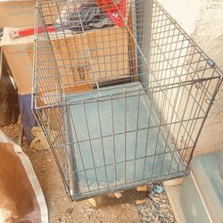 medium dog crate