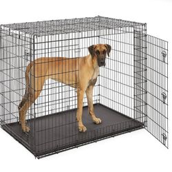 Extra Large 2-Door Dog Crate