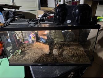 40 gallon reptile tank
