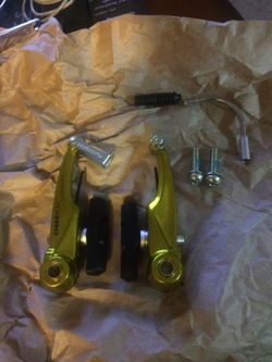 mountain bike breaks gold