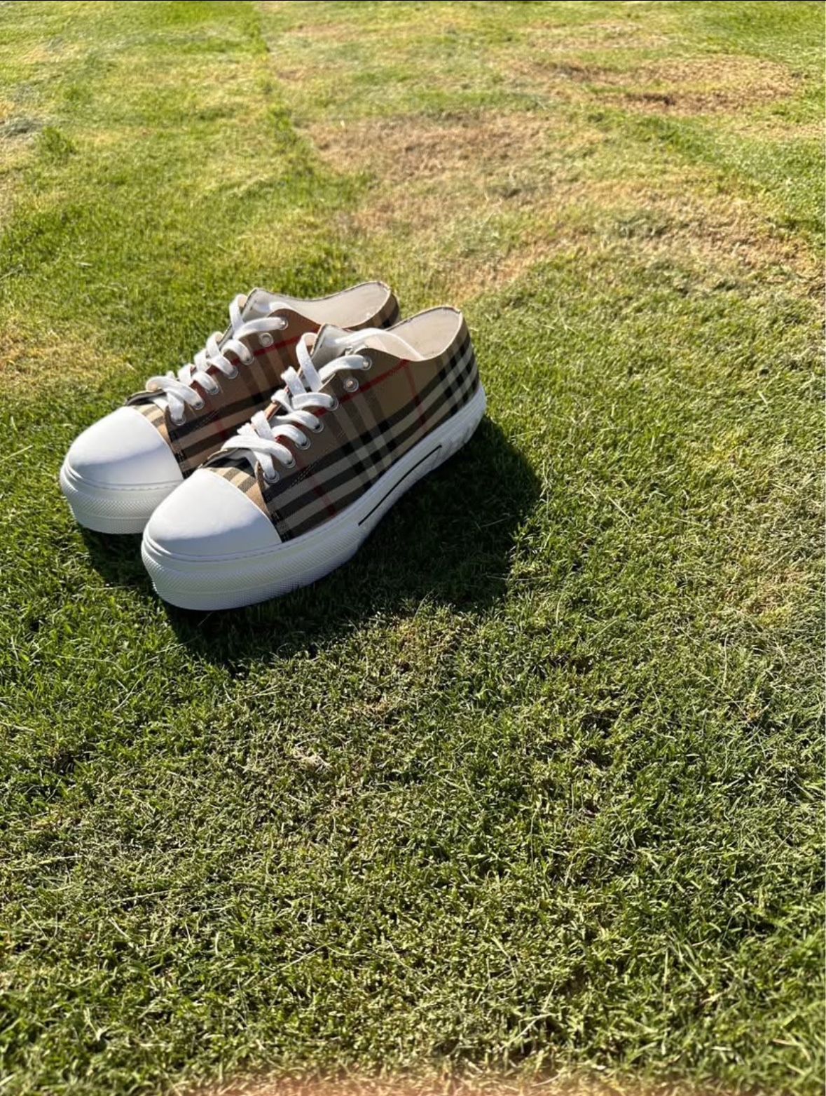 Burberry Shoes Low Tops
