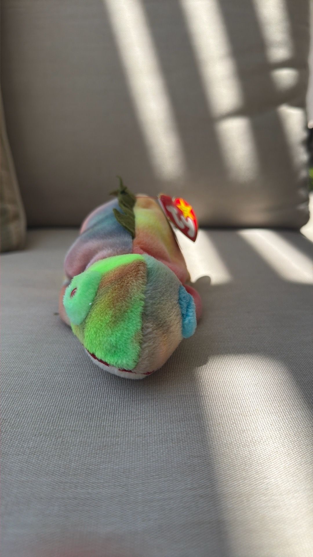 Iggy the iguana 1997