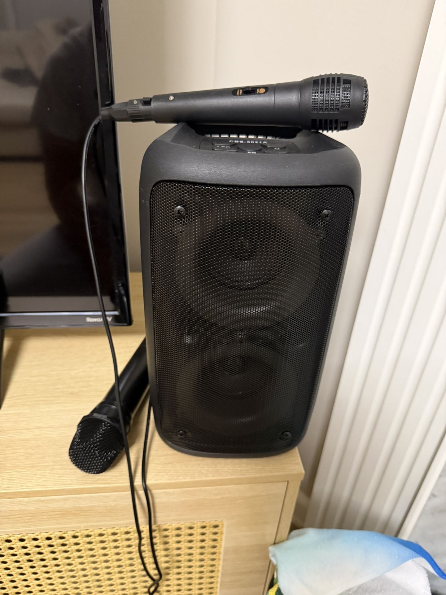 speaker with microphone