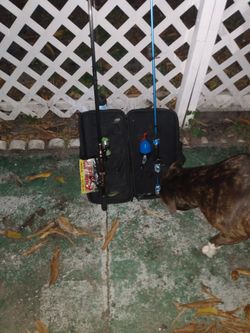 Plusinno Rod With Amphibian Reel And Small Fishing Pole Combo