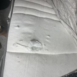 Pullout Twin-king Day Bed With Storage 