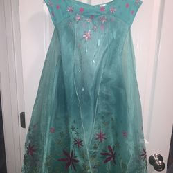 Frozen Halloween Custome