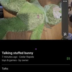 Talking Stuffed Bunny 