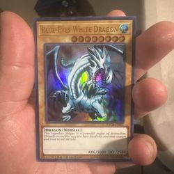 Blue eyes white dragon