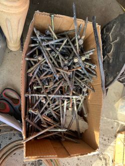 Large Lot of Assorted Wood Screws