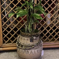 Clay Pot Plant Holder 