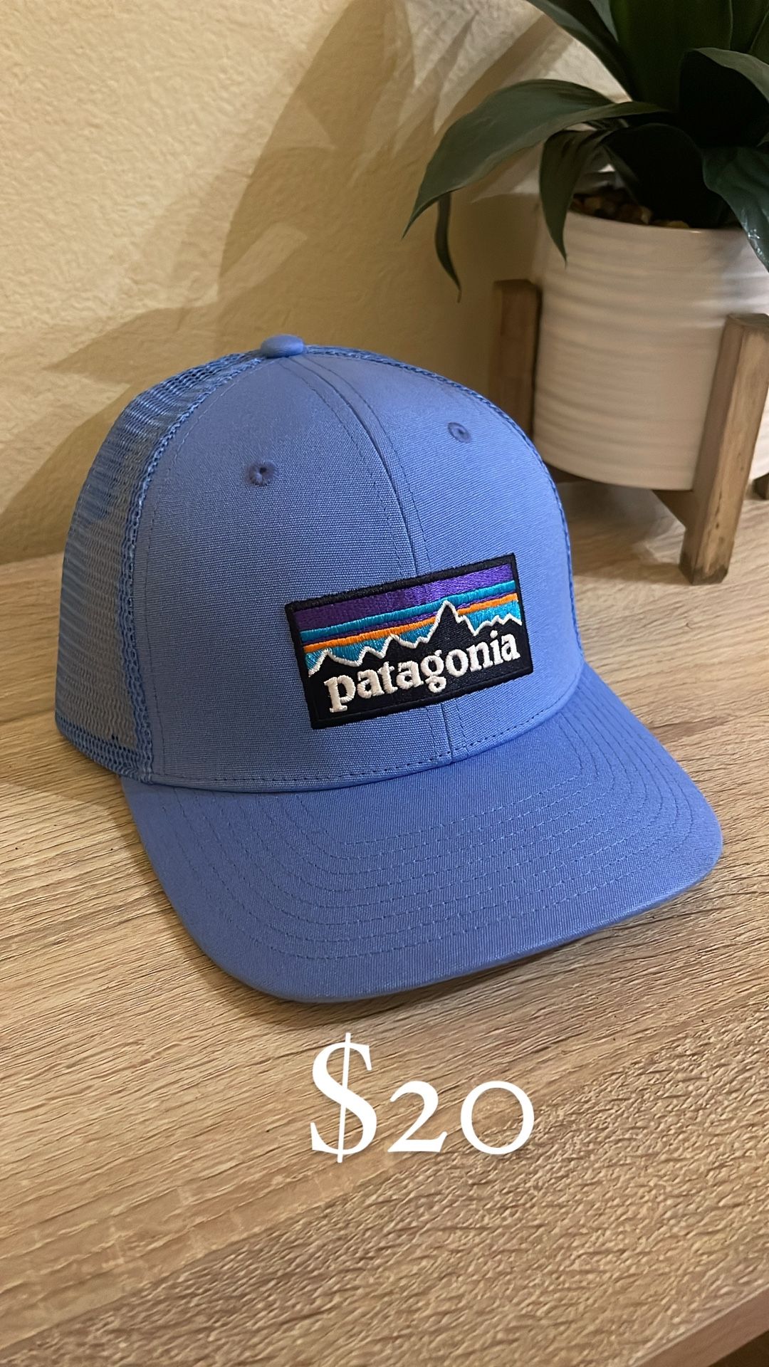Patagonia, Nike, Tommy Hilfiger, Under Armour