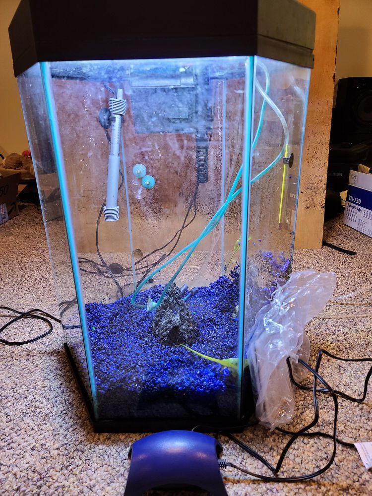 20 gallon hexagon fish tank