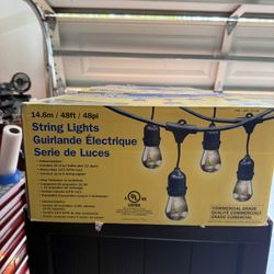 Patio Lights $80 For All