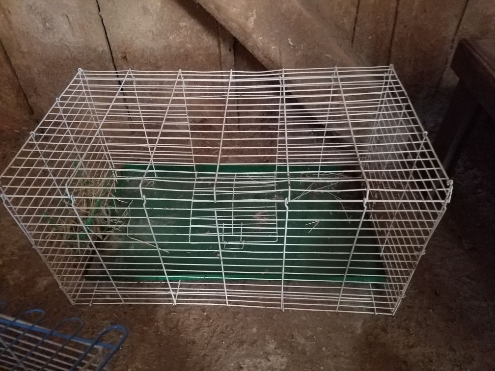 Cage
