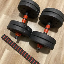 31 lbs Adjustable Dumbbell Set of 2 for Home Workouts 