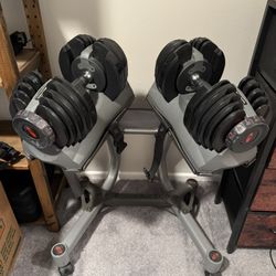 Hand Weights And Collapsible Bench