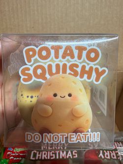 Potato Squishy Toy in Box