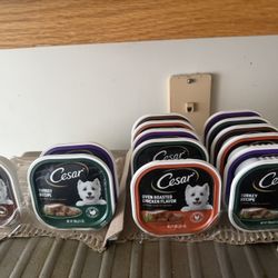 Cesar Dog Food