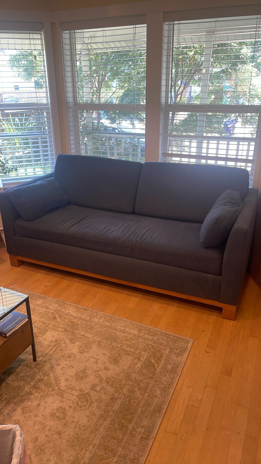 Sleeper sofa purchased For $1400 Originally